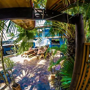 Cool Bananas Backpackers Auberge de jeunesse Agnes Water